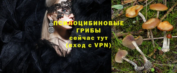 Альфа ПВП Абдулино