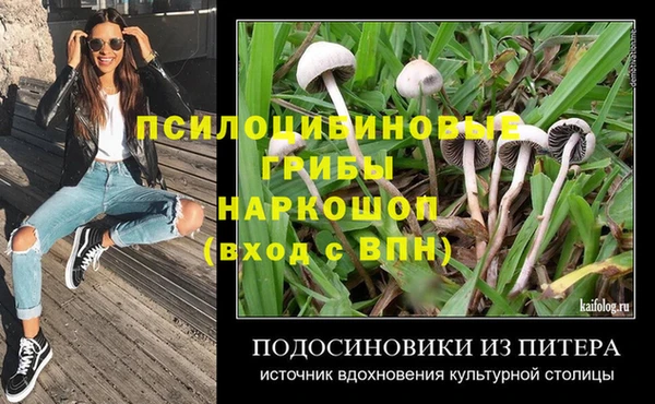 эйфоретик Абинск